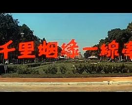 她的最后证词 封面图